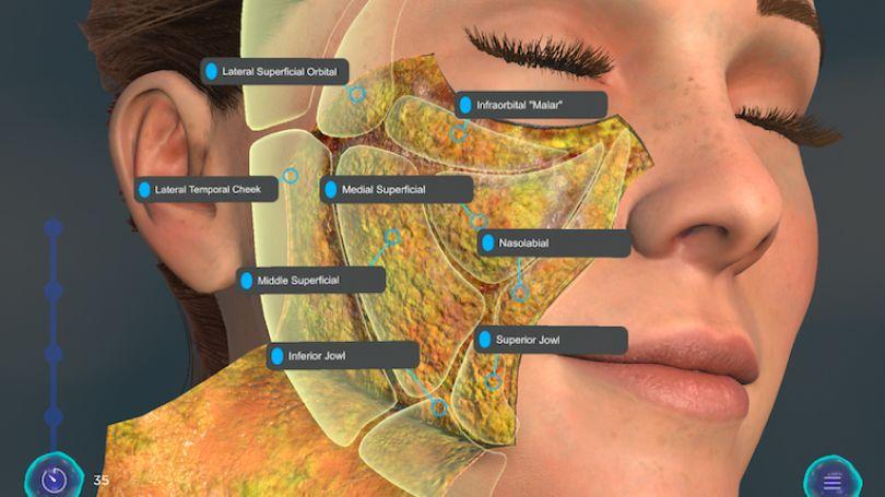 Galderma: Treinamento de anatomia em escala