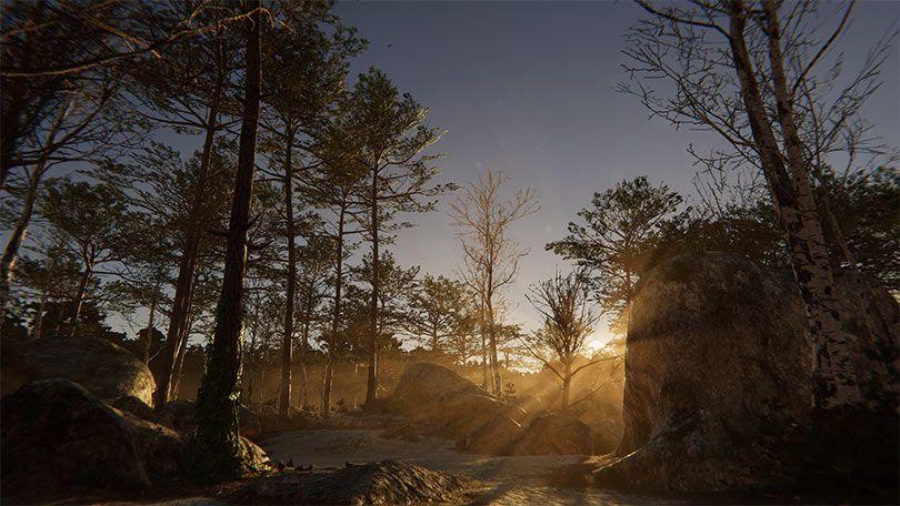 Rendering von Wald mit Sonnaufgangslicht, das durch die Bäume scheint